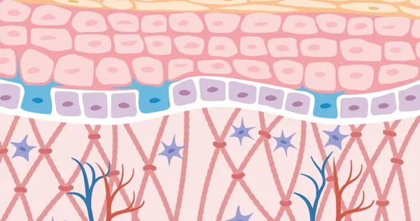 A085083fb3bf182aed39bd6883388e42