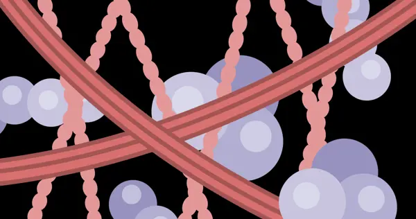 0539F39048a2b944b03bbcc6415630d4