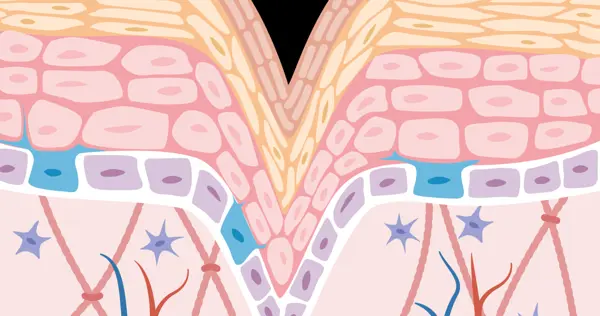 4705564Fec37922b581bd83d0732488e